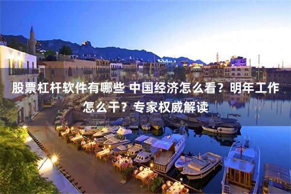 股票杠杆软件有哪些 中国经济怎么看？明年工作怎么干？专家权威解读
