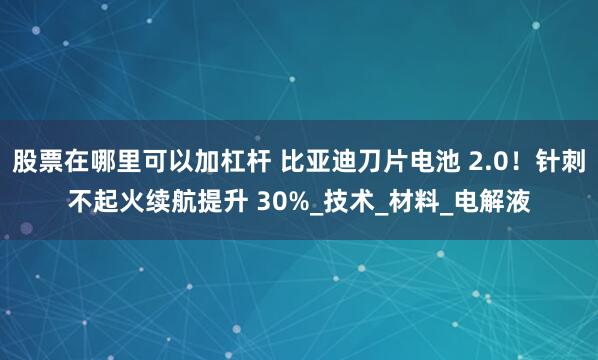 股票在哪里可以加杠杆 比亚迪刀片电池 2.0！针刺不起火续航提升 30%_技术_材料_电解液