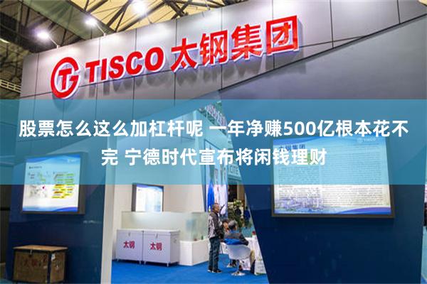 股票怎么这么加杠杆呢 一年净赚500亿根本花不完 宁德时代宣布将闲钱理财
