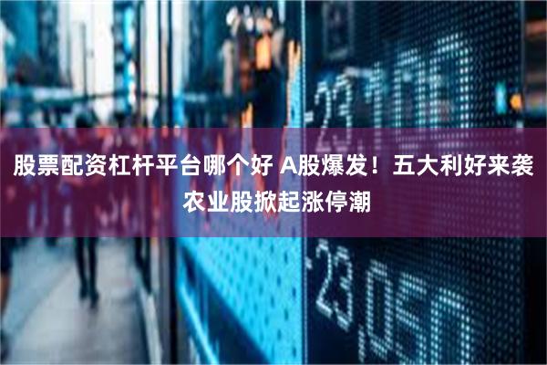 股票配资杠杆平台哪个好 A股爆发！五大利好来袭 农业股掀起涨停潮