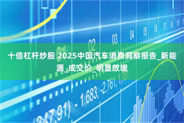 十倍杠杆炒股 2025中国汽车消费洞察报告_新能源_成交价_明显放缓